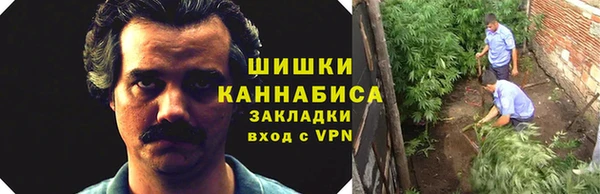 тгк Балабаново