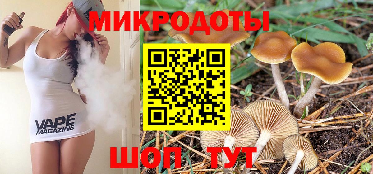 Псилоцибиновые грибы Magic Shrooms  Вход с VPN  как найти   Саки  Галлюциногенные грибы Psilocybe 